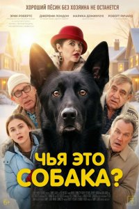 Постер Чья это собака? (2025)